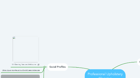 Mind Map: Professional Upholstery Cleaning