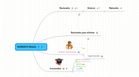 Mind Map: NÚMEROS REALES