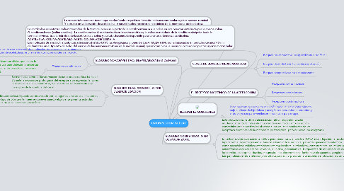 Mind Map: UNION NEUROMUSCULAR