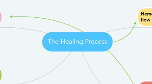 Mind Map: The Healing Process