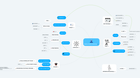 Mind Map: BADEA MARIA-RAMONA