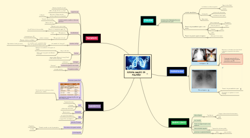 Mind Map: EDEMA AGUDO DE PULMÃO