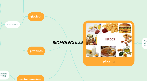 Mind Map: BIOMOLECULAS