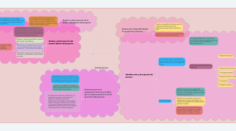 Mind Map: Estudio técnico