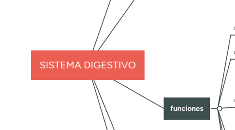 Mind Map: SISTEMA DIGESTIVO