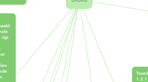 Mind Map: Bloed