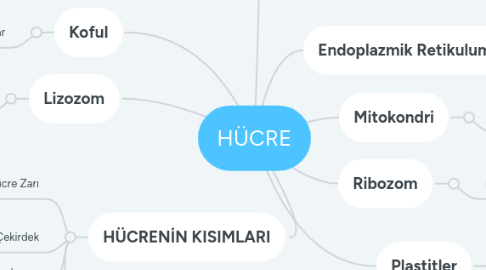 Mind Map: HÜCRE