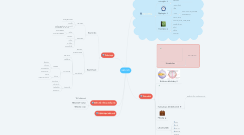 Mind Map: BIỂU MÔ