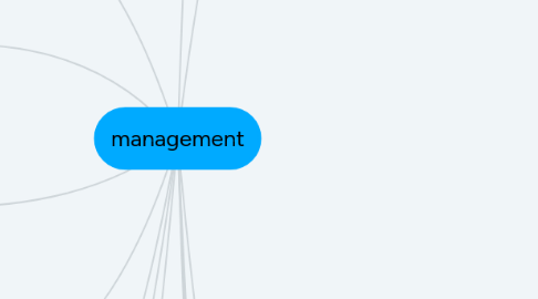 Mind Map: management