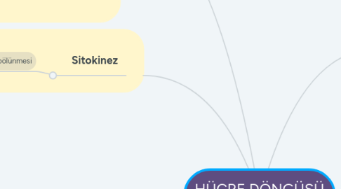 Mind Map: HÜCRE DÖNGÜSÜ AŞAMALARI