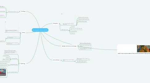 Mind Map: My research about mobility