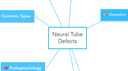 Mind Map: Neural Tube Defects