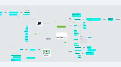 Mind Map: RELACIÓN ENTRE CEREBRO, CIENCIA COGNITIVA Y EDUCACIÓN