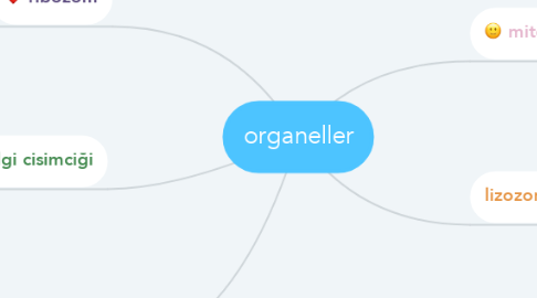Mind Map: organeller