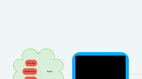 Mind Map: HAREKET SİSTEMİ