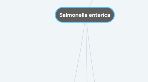 Mind Map: Salmonella enterica