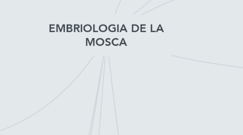 Mind Map: EMBRIOLOGIA DE LA MOSCA