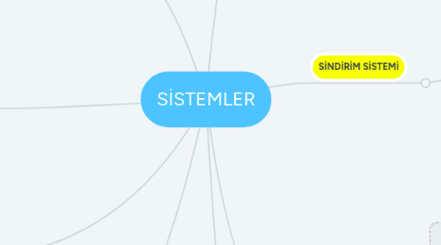 Mind Map: SİSTEMLER