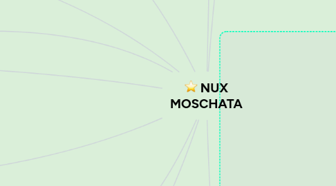 Mind Map: NUX MOSCHATA
