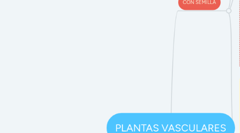 Mind Map: PLANTAS VASCULARES