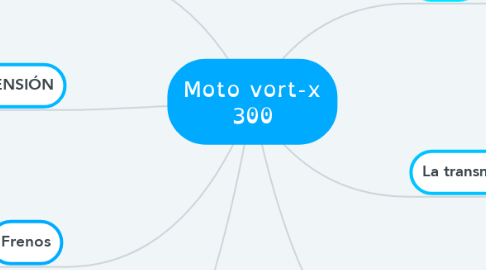 Mind Map: Moto vort-x 300