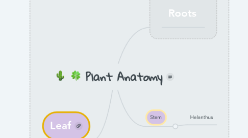 Mind Map: Plant Anatomy