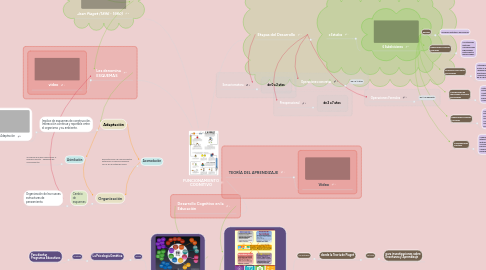 Mind Map: FUNCIONAMIENTO COGNITIVO