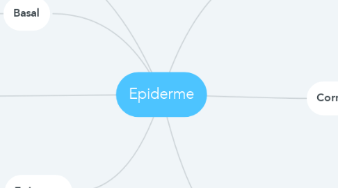 Mind Map: Epiderme