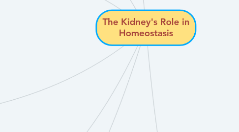 Mind Map: The Kidney's Role in Homeostasis