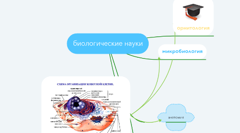 Mind Map: биологические науки