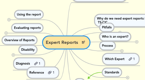 Mind Map: Expert Reports