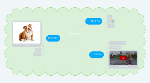 Mind Map: ANIMALES