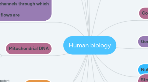 Mind Map: Human biology