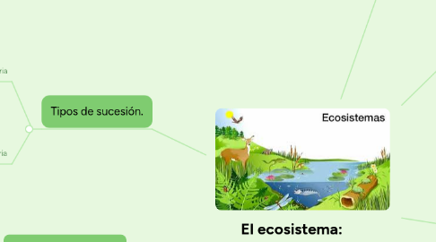 Mind Map: El ecosistema: componentes e interrelaciones: En el tiempo, sucesión.