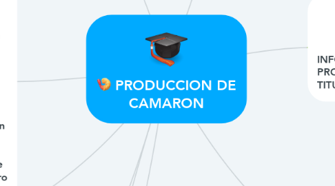 Mind Map: PRODUCCION DE CAMARON