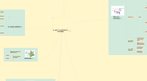 Mind Map: EL ARN Y LA SÍNTESIS DE  PROTEÍNAS