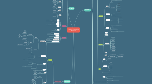 Mind Map: Folclore Musical Sur América