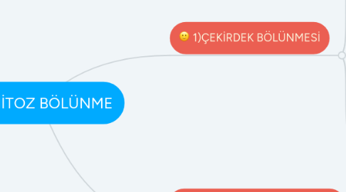 Mind Map: MİTOZ BÖLÜNME