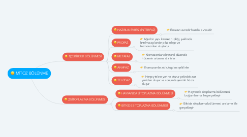 Mind Map: MİTOZ BÖLÜNME