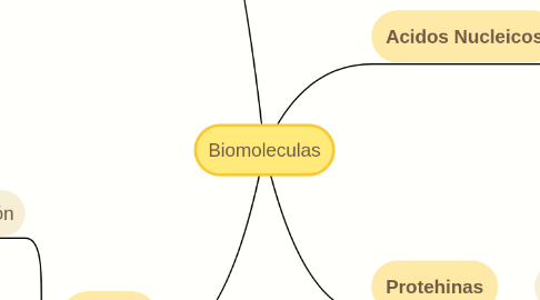 Mind Map: Biomoleculas