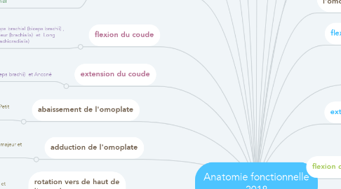 Mind Map: Anatomie fonctionnelle 2018