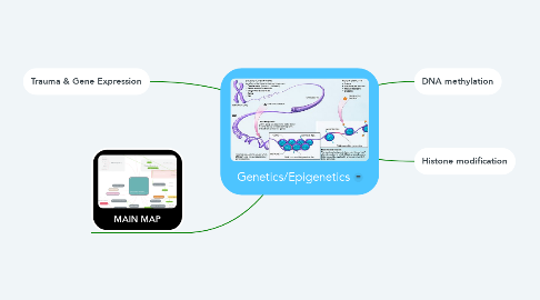 Mind Map: Genetics/Epigenetics