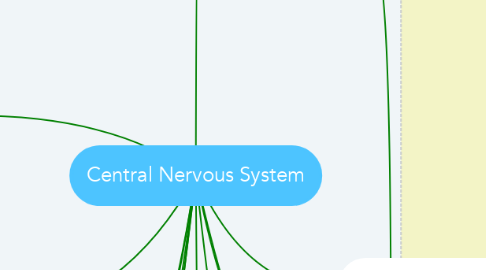 Mind Map: Central Nervous System