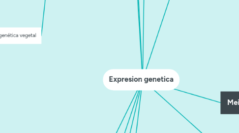 Mind Map: Expresion genetica