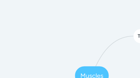 Mind Map: Muscles