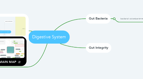 Mind Map: Digestive System