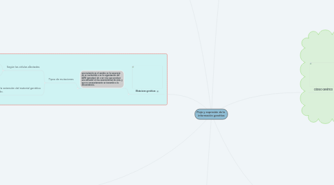 Mind Map: Flujo y expresión de la información genética