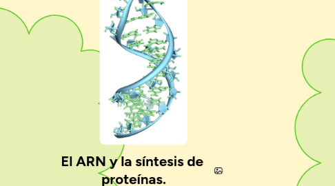 Mind Map: El ARN y la síntesis de proteínas.