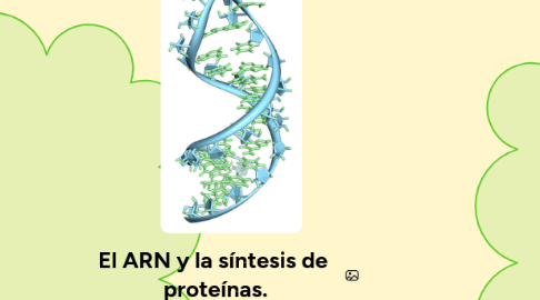 Mind Map: El ARN y la síntesis de  proteínas.