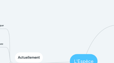 Mind Map: L'Espèce